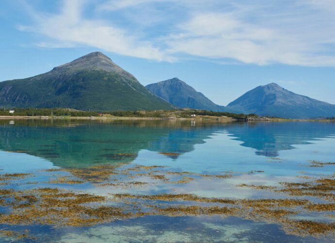 green mountains near body of water during daytime