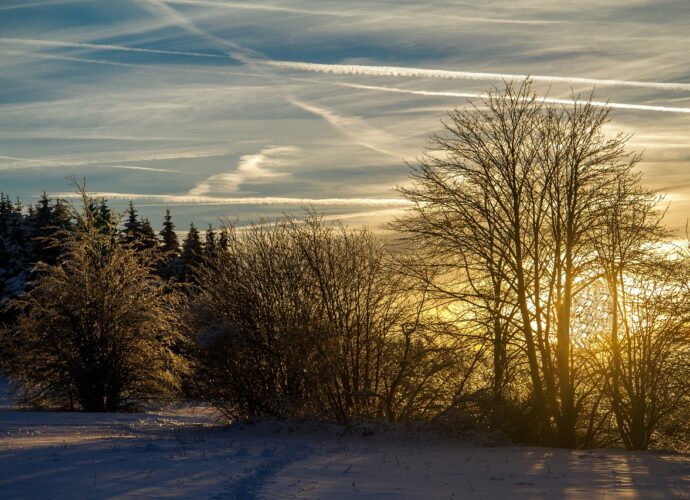 winter, snow, winter landscape