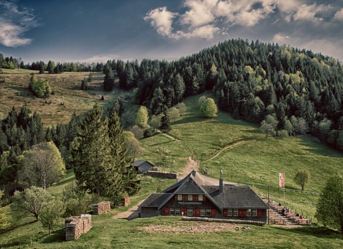 Familienabenteuer im Schwarzwald Entspannen Sie in einer malerischen Hütte