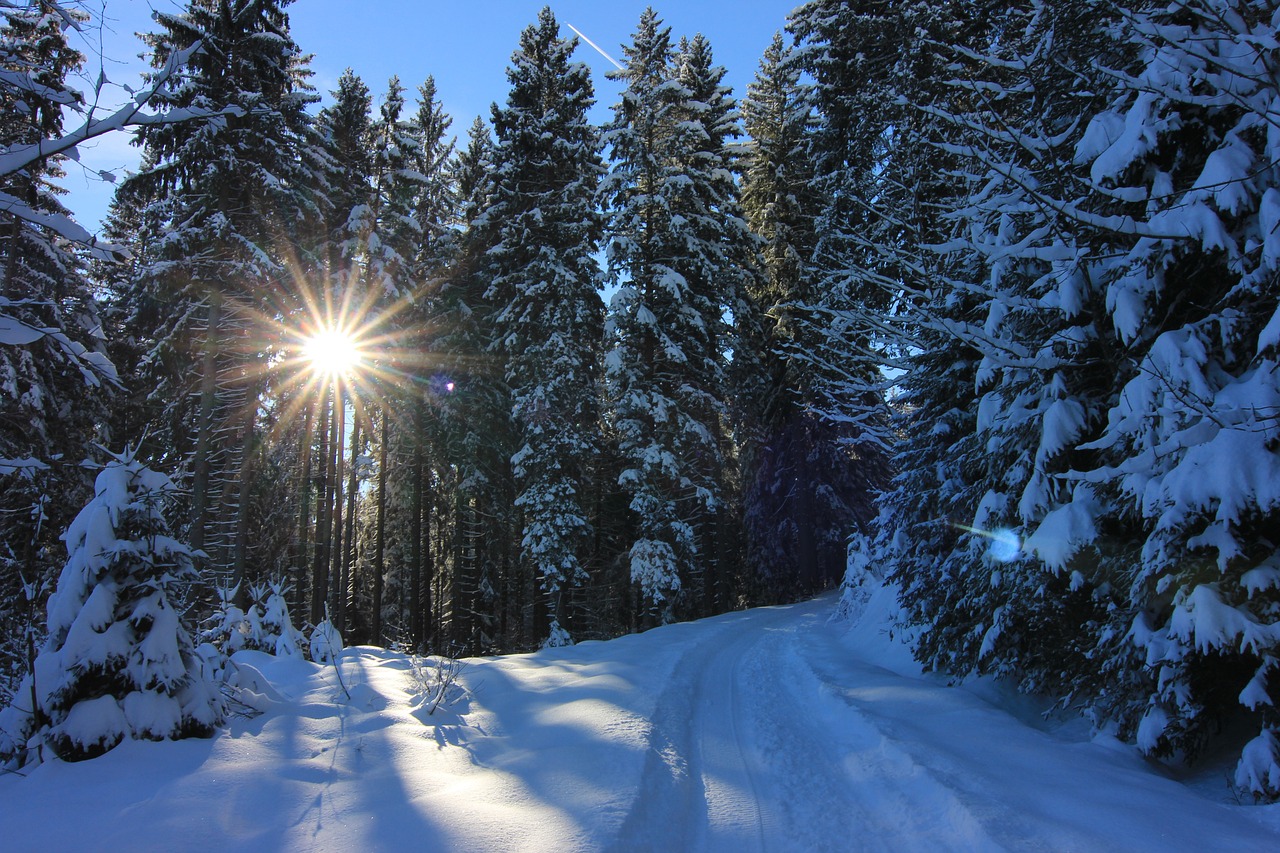 Winterwandern - Die schönsten Touren im Schnee