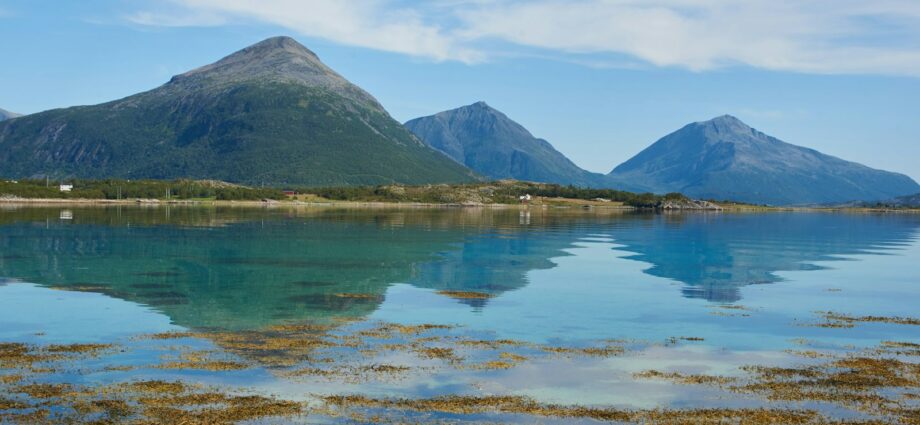 green mountains near body of water during daytime