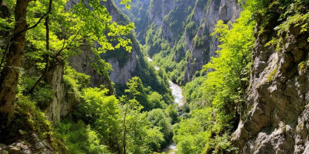 Grießbachklamm mit grünen Bäumen und fließendem Wasser.