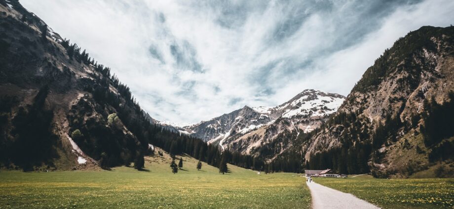 A scenic view of mountains and a road